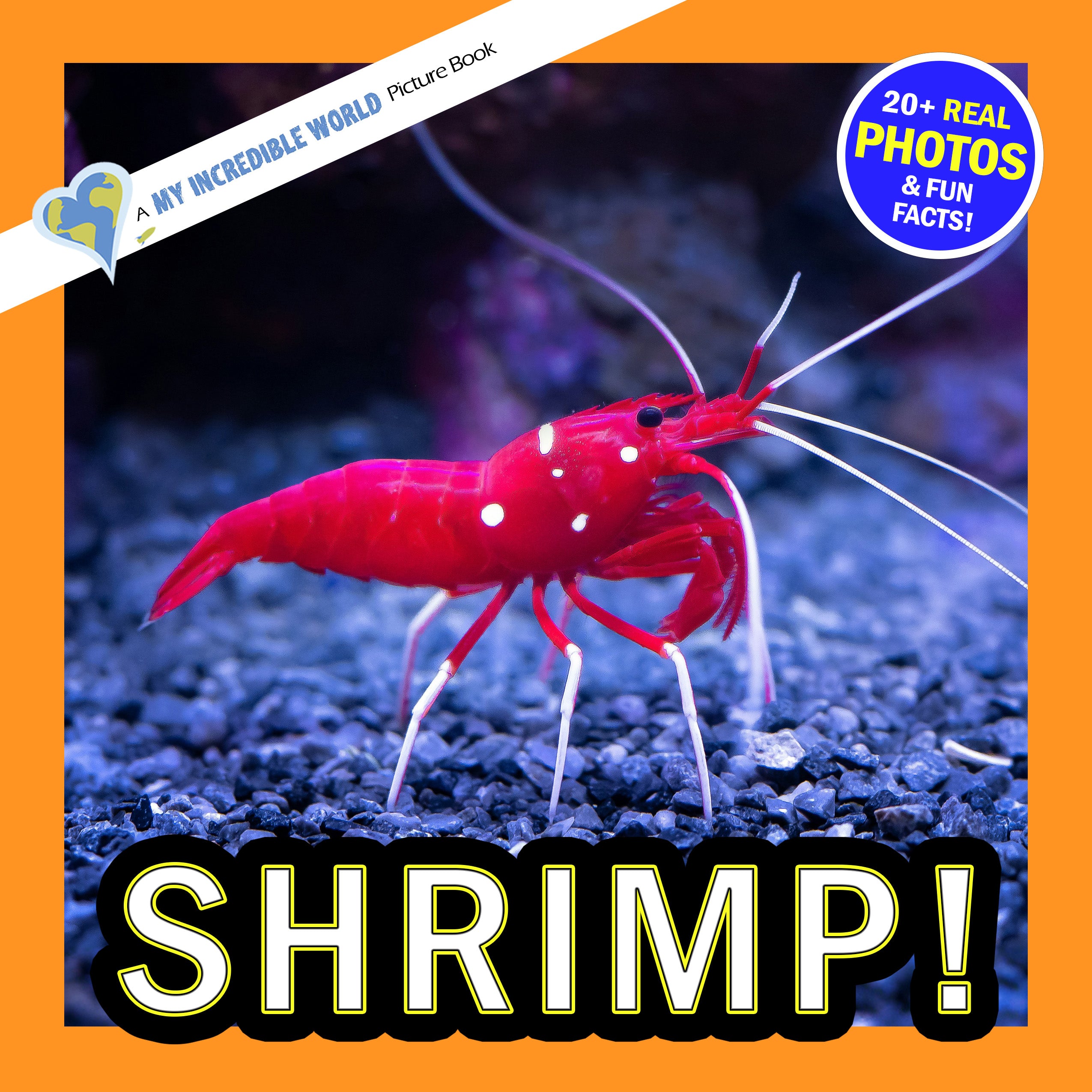 Shrimp! A My Incredible World Picture Book for Children